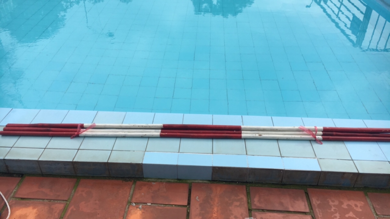 Sào Cứu Hộ
